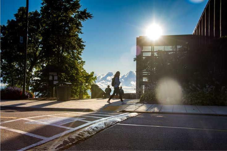 Students walk down Campus Drive on the way to class.